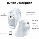 Ugreen-bezicni-ergonomski-vertikalni-mis-BTWi-Fi-bijeli-2.jpg