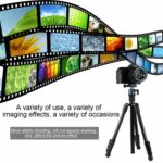 PULUZ-PU3009-Portable-Tripod-za-kamere-8.jpg