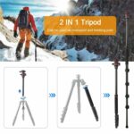 ZOMEI-G200-Tripod-2m-10.jpg