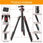 ZOMEI-G200-Tripod-2m-11.jpg
