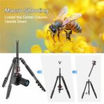 ZOMEI-G200-Tripod-2m-5.jpg