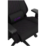 LORGAR CHA41, Ergonomic Gaming Chair Advanced, premium anti-stain fabric, Blackpurple (13)