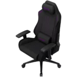 LORGAR CHA41, Ergonomic Gaming Chair Advanced, premium anti-stain fabric, Blackpurple (2)