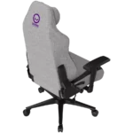 LORGAR CHA41 Ergonomic Gaming Chair Advanced premium anti-stain fabric Grey (5)