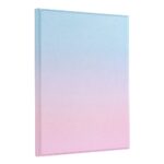 B09-Bluetooth-futrolatastatura-za-iPad-10.2-202420202019Pro-10.5-inch-2017Air-10.5-inch-2019-Pink-Blue.jpg
